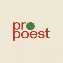 Pro Poest Канал