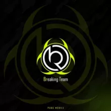 Заметки Breaking Team