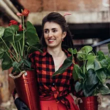 MyGreenDecor| Комнатные Растения