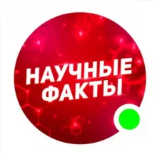 Научные факты🧠📚