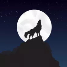 sʜɪsʜᴀɴ