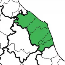 Concorsi Regione Marche