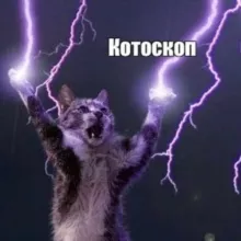 котоскоп