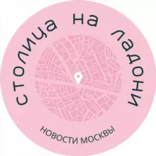 Столица на ладони | Новости Москвы | События | Происшествия