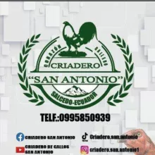CRIADERO SAN ANTONIO 🐓