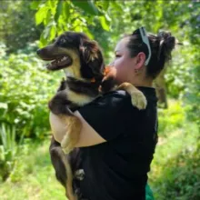 Четыре Лапы 🐕🐈
