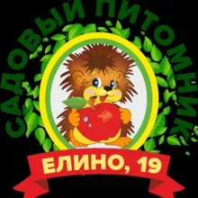 Саженец Клин,Елино 19