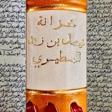فيصل بن زيد المطيري