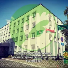 Лесоводы Гомельщины 🌳🌲🌳