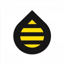 Дизайн интерьера Black and Honey