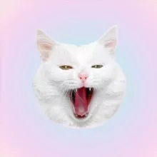 SOFIADELMONSTRO