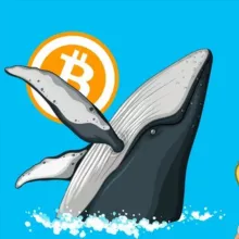 Китовый Движ 🐋