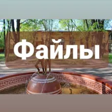 Файлы Педиатрички