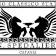 Liceo classico N. Spedalieri