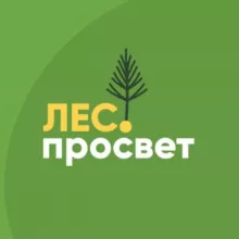 ЛесПросвет | Сибирский кедр