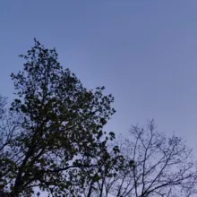 воздух вечности