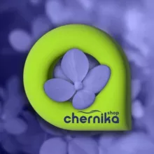 Черника Shop сеть кальянных магазинов