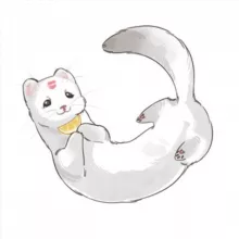 lim𑄝nchik ิ︎.•︎