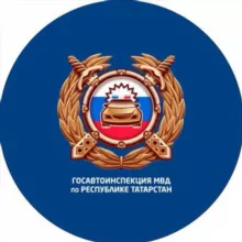 Госавтоинспекция АЛЬМЕТЬЕВСКА