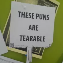 Best Puns & Best Dad Jokes