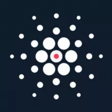 Cardano Japan Official🇯🇵