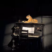 Трапеция с голыми боярами
