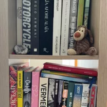 books_AI