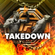 TAKEDOWN 🔥