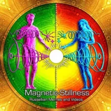 Magnetic-Stillness