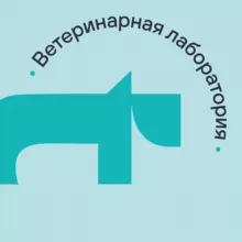 Vet Union для врачей