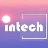 Intech 公司职位福利