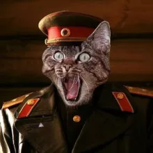 Кот Генерала