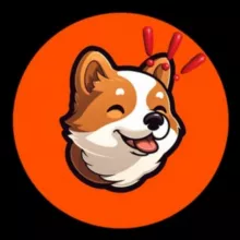 BabyBonk Portal Official