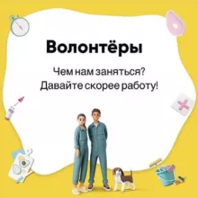 Волонтеры ДМ