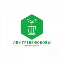 Саженцы ЛПХ Гребенюковы