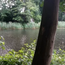 EW Gruppen Infokanal