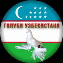 Голуби Узбекистана