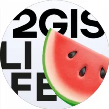 2GIS.life
