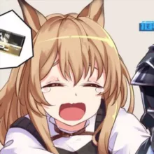 Watchdog Updates [REDACTED]