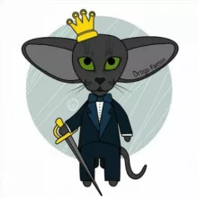Ориентальные котята FAETON