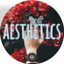 aesthetics | красивые видео | видеофоны