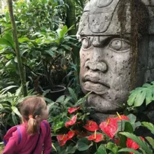 Болтаем в тропиках🌴