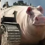 Ржоба | mems