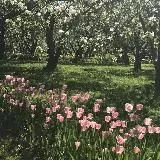 капец