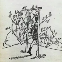 Solitary Individual