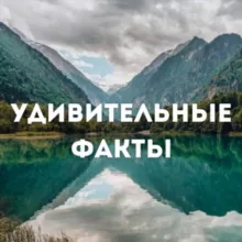 Удивительные Факты