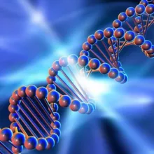 genetics_4u