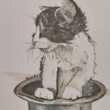 40catsFM🐈🐈‍⬛️