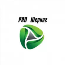 PRO Шеринг: ИТ в сервисах