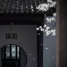 ✧ AR | ЛОТЕРЕЯ | Amber Regina